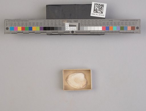 NSF ADBC EPICC TCN