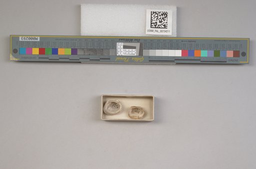 NSF ADBC EPICC TCN