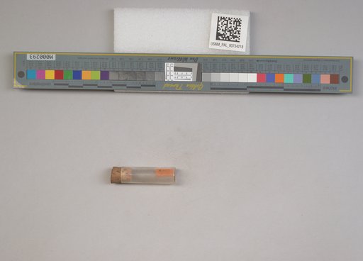 NSF ADBC EPICC TCN