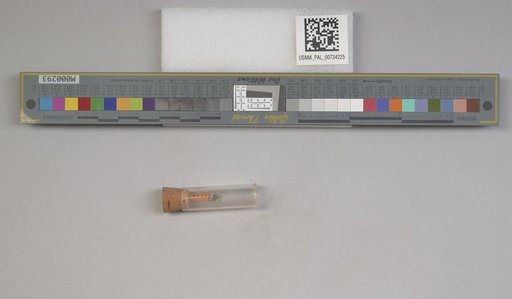 NSF ADBC EPICC TCN