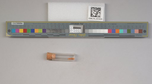 NSF ADBC EPICC TCN