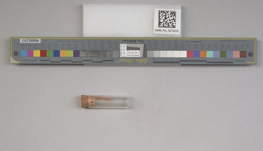 NSF ADBC EPICC TCN