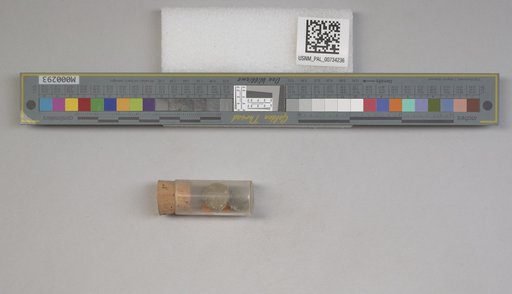 NSF ADBC EPICC TCN