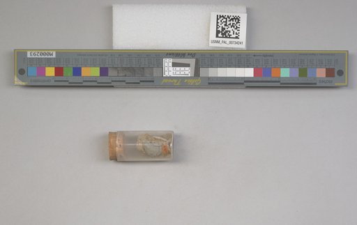 NSF ADBC EPICC TCN