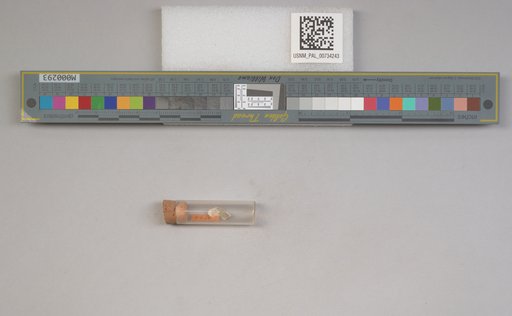 NSF ADBC EPICC TCN