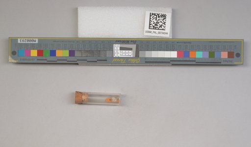 NSF ADBC EPICC TCN