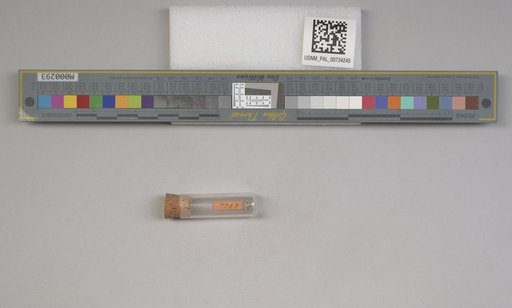 NSF ADBC EPICC TCN