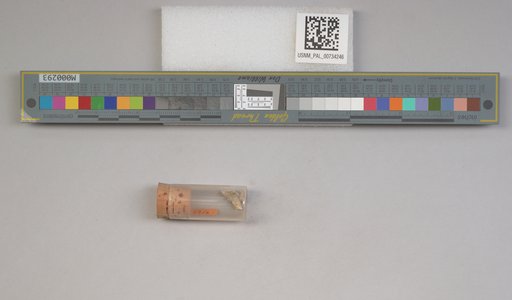 NSF ADBC EPICC TCN