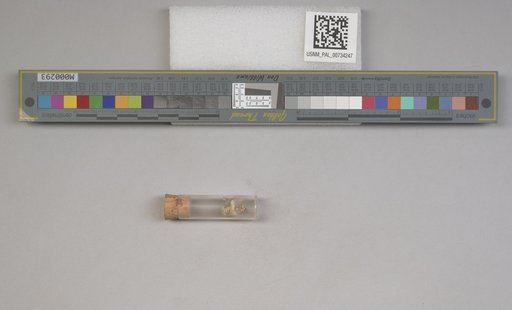 NSF ADBC EPICC TCN