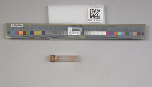 NSF ADBC EPICC TCN