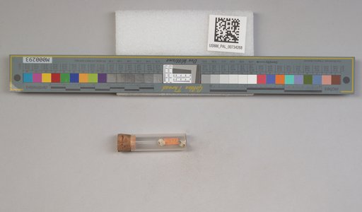 NSF ADBC EPICC TCN