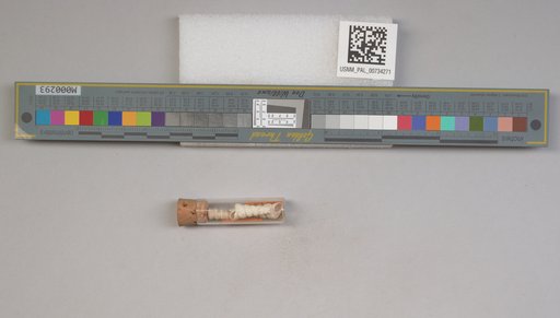 NSF ADBC EPICC TCN
