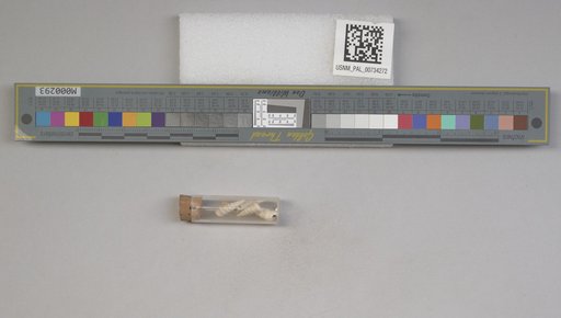 NSF ADBC EPICC TCN