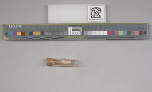 NSF ADBC EPICC TCN