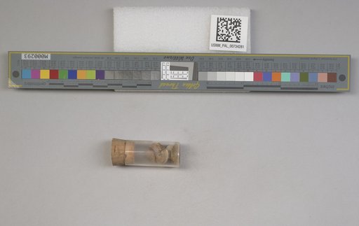 NSF ADBC EPICC TCN