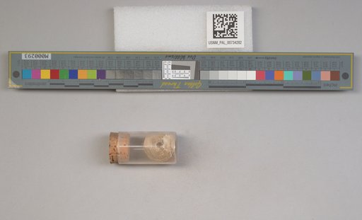 NSF ADBC EPICC TCN