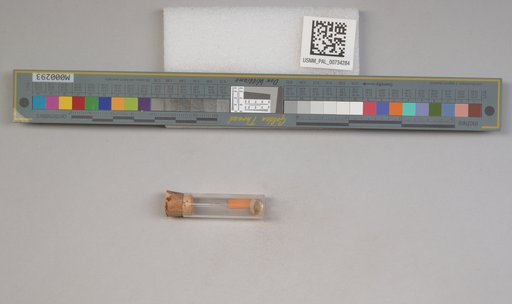 NSF ADBC EPICC TCN