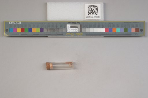 NSF ADBC EPICC TCN