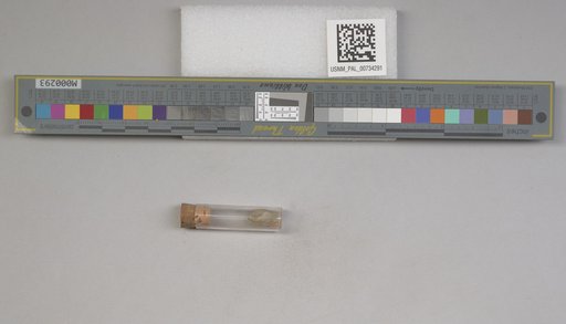 NSF ADBC EPICC TCN