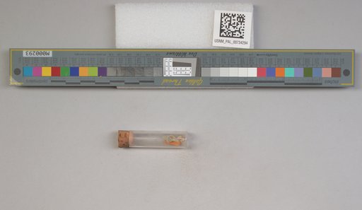 NSF ADBC EPICC TCN