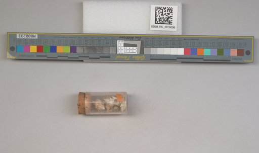 NSF ADBC EPICC TCN