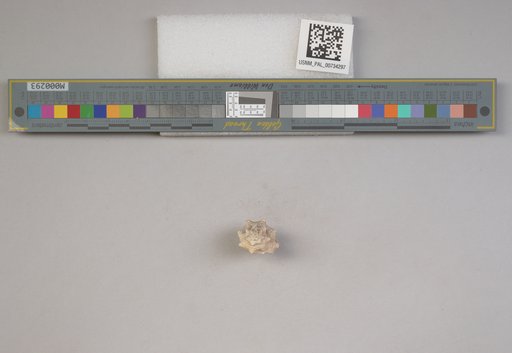 NSF ADBC EPICC TCN