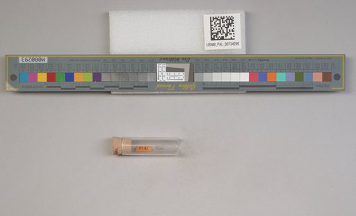 NSF ADBC EPICC TCN
