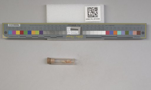 NSF ADBC EPICC TCN
