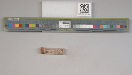NSF ADBC EPICC TCN
