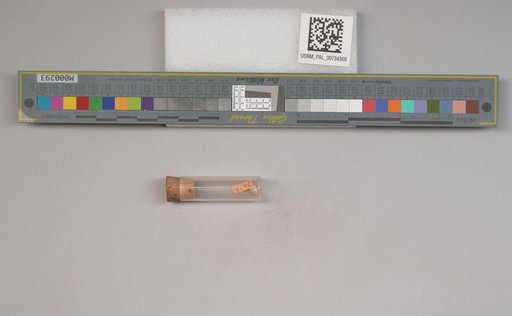NSF ADBC EPICC TCN