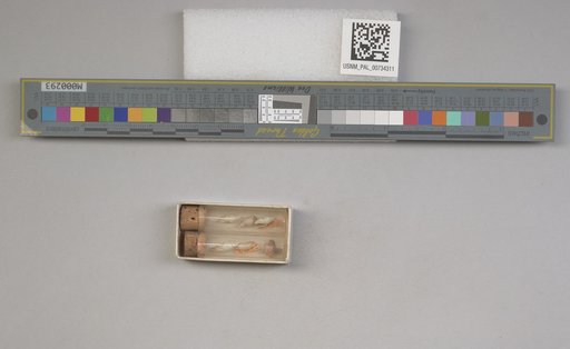 NSF ADBC EPICC TCN