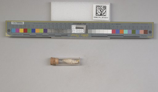 NSF ADBC EPICC TCN
