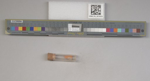NSF ADBC EPICC TCN