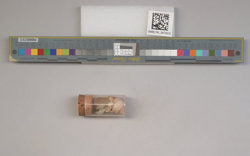 NSF ADBC EPICC TCN