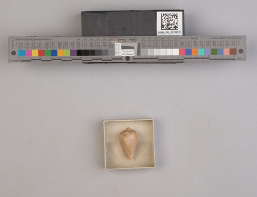 NSF ADBC EPICC TCN