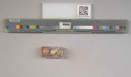 NSF ADBC EPICC TCN