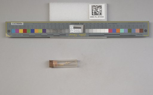 NSF ADBC EPICC TCN