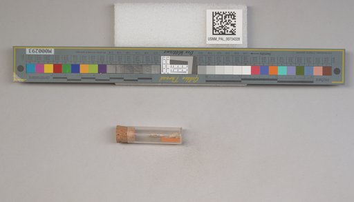 NSF ADBC EPICC TCN