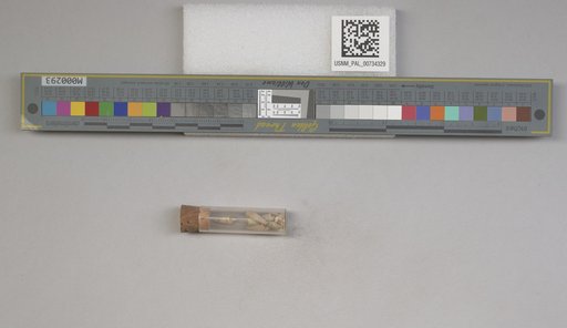 NSF ADBC EPICC TCN