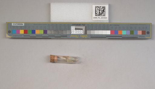 NSF ADBC EPICC TCN