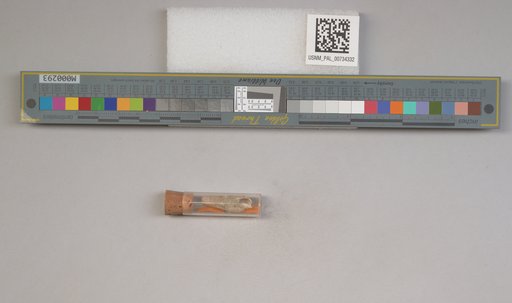NSF ADBC EPICC TCN