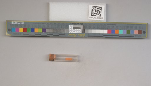 NSF ADBC EPICC TCN