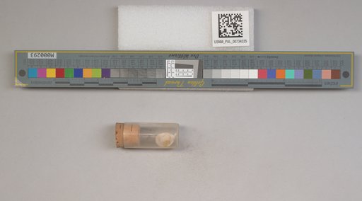 NSF ADBC EPICC TCN