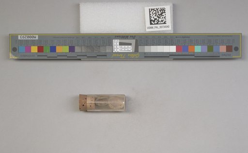 NSF ADBC EPICC TCN