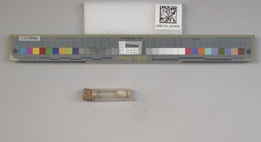 NSF ADBC EPICC TCN