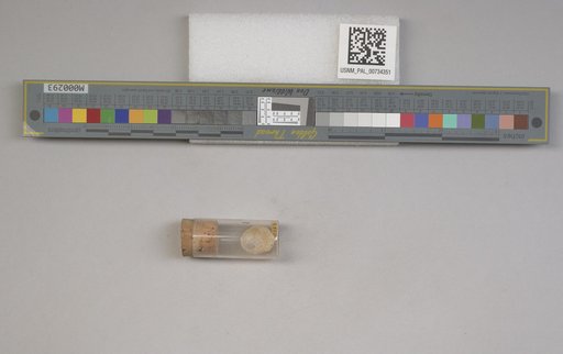 NSF ADBC EPICC TCN