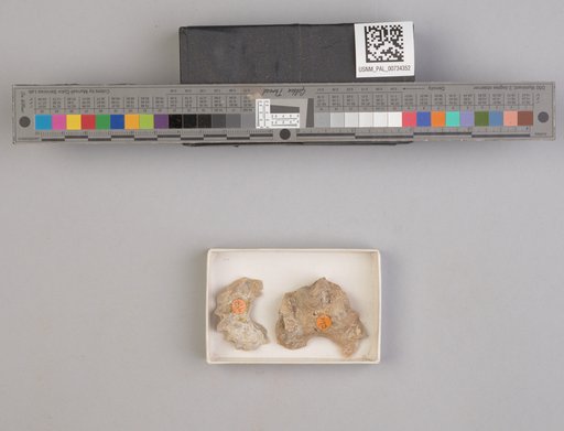 NSF ADBC EPICC TCN