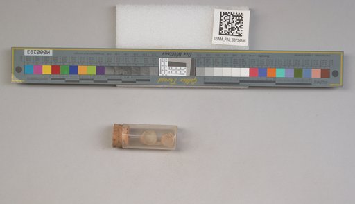 NSF ADBC EPICC TCN