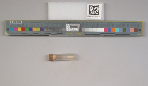 NSF ADBC EPICC TCN