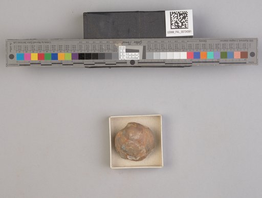 NSF ADBC EPICC TCN